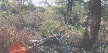 Do the gospels contain a critique of Greek philosophy?