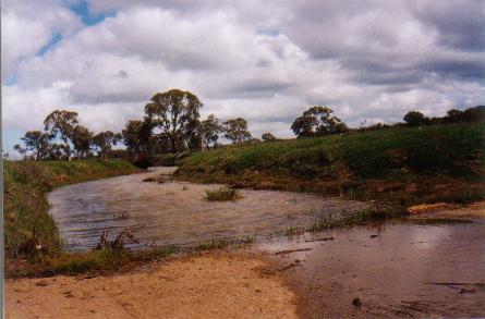 Do the gospels contain a critique of Greek philosophy?