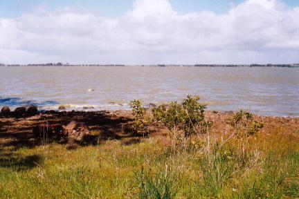 Do the gospels contain a critique of Greek philosophy?