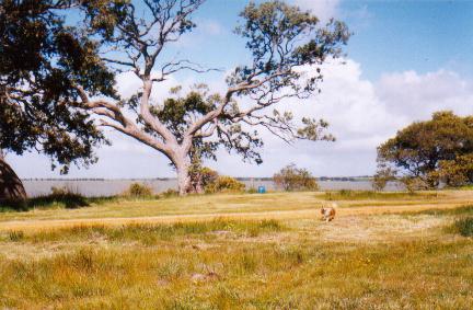 Do the gospels contain a critique of Greek philosophy?