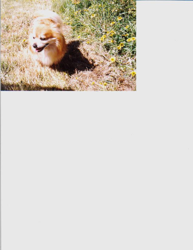 Do the gospels contain a critique of Greek philosophy?