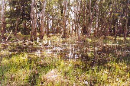 Do the gospels contain a critique of Greek philosophy?