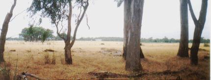 Do the gospels contain a critique of Greek philosophy?