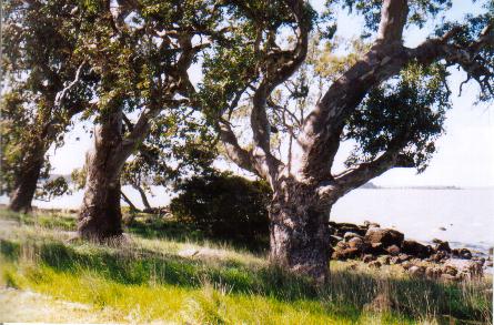 Do the gospels contain a critique of Greek philosophy?