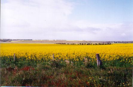 Do the gospels contain a critique of Greek philosophy?