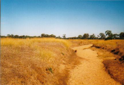 Do the gospels contain a critique of Greek philosophy?