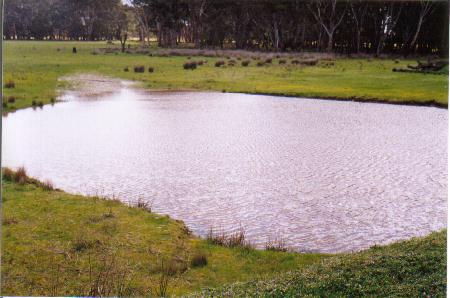 Do the gospels contain a critique of Greek philosophy?