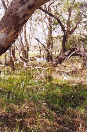 Do the gospels contain a critique of Greek philosophy?