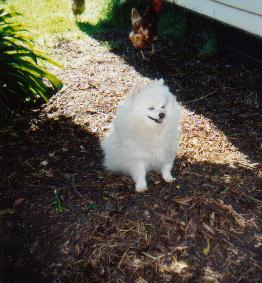 Do the gospels contain a critique of Greek philosophy?