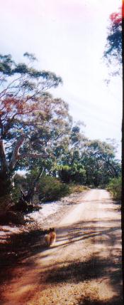 Do the gospels contain a critique of Greek philosophy?