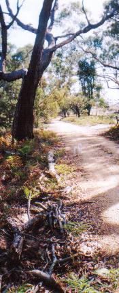 Do the gospels contain a critique of Greek philosophy?